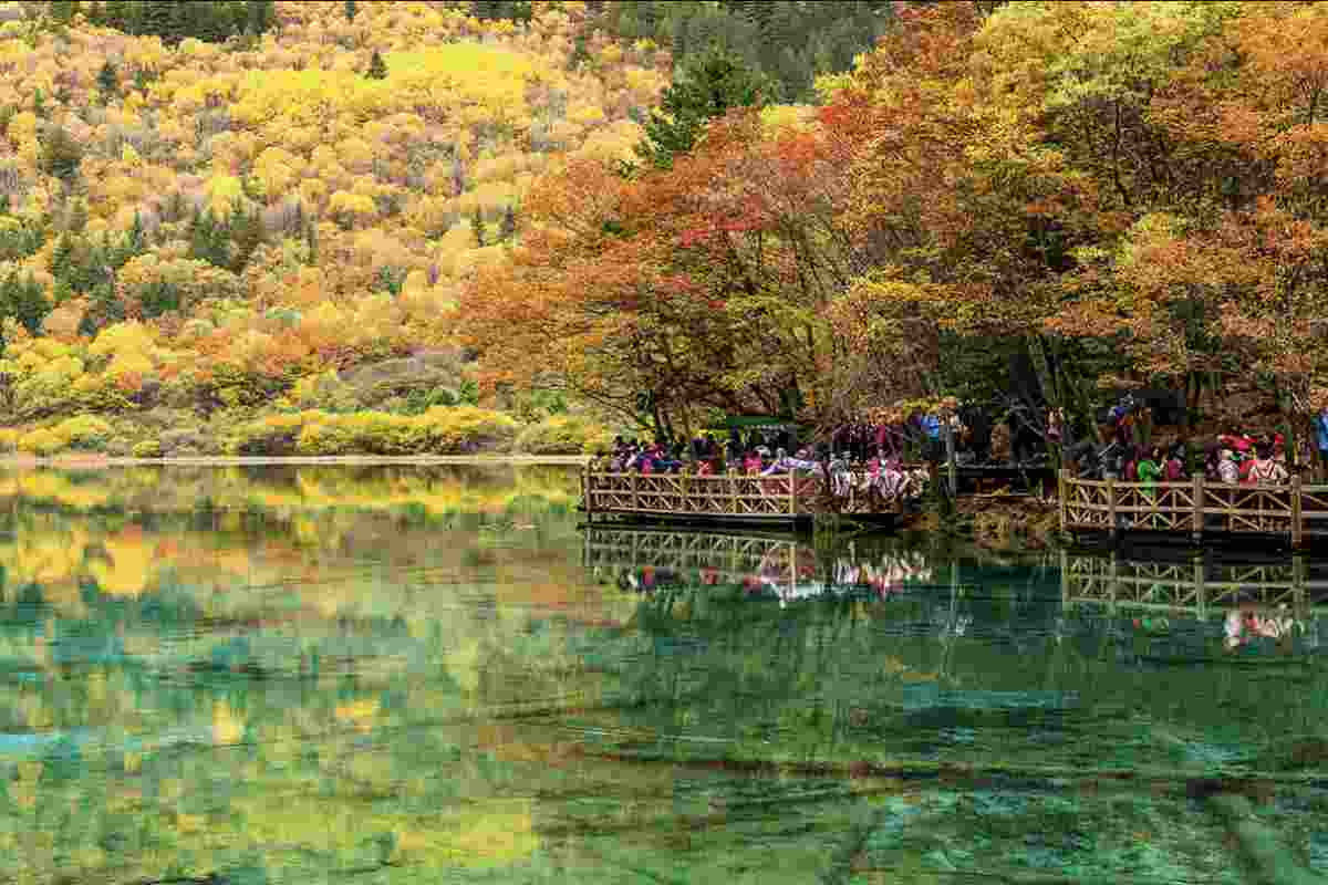 La Valle di Jiuzhaigou è anche un importante santuario per la biodiversità, ospitando specie rare e minacciate come il panda gigante
