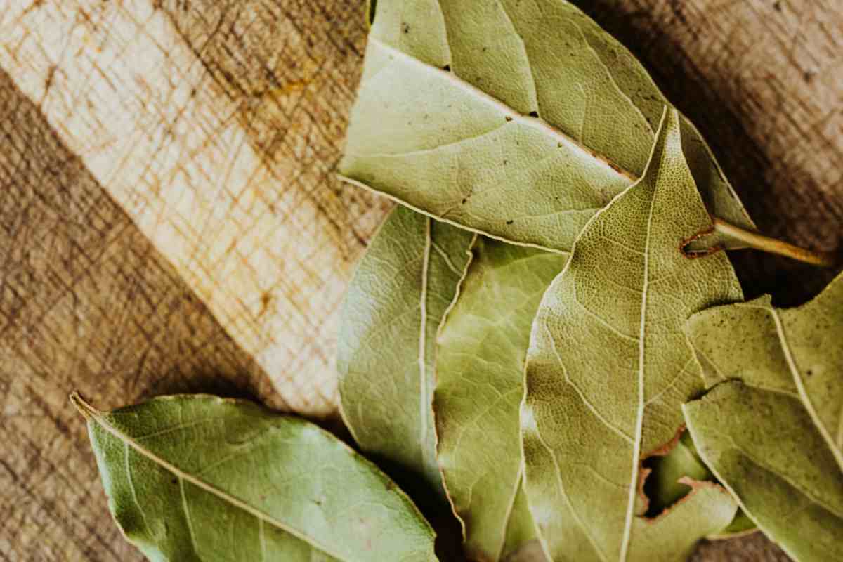 Il trucco delle foglie d’alloro che tutti stanno provando